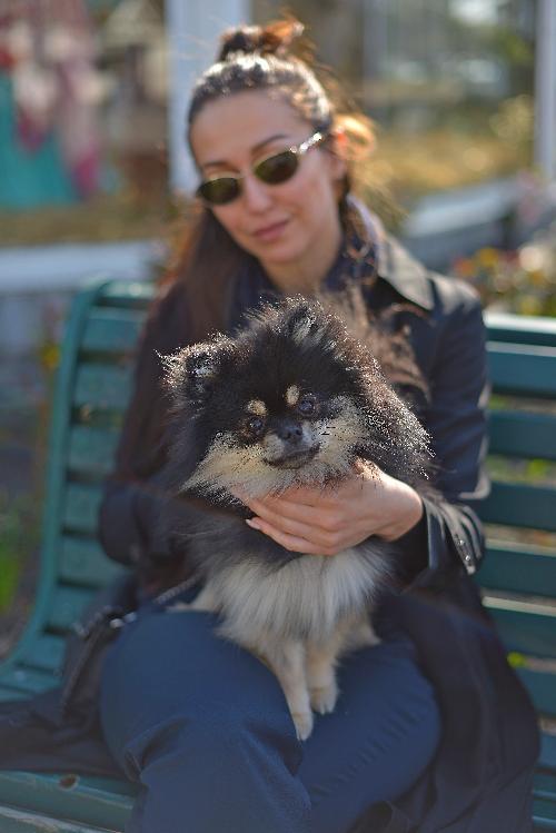 Жінка в окулярах та маленький песик, шпіц. A woman with glasses and a small dog, a spitz. Женщина в очках и маленькая собачка, шпиц.